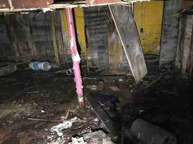 Testing again(64).jpg